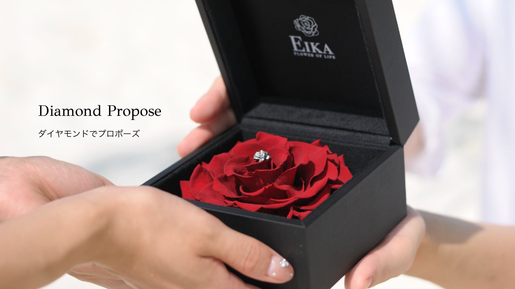 Diamond Propose
ダイヤモンドでプロポーズ
