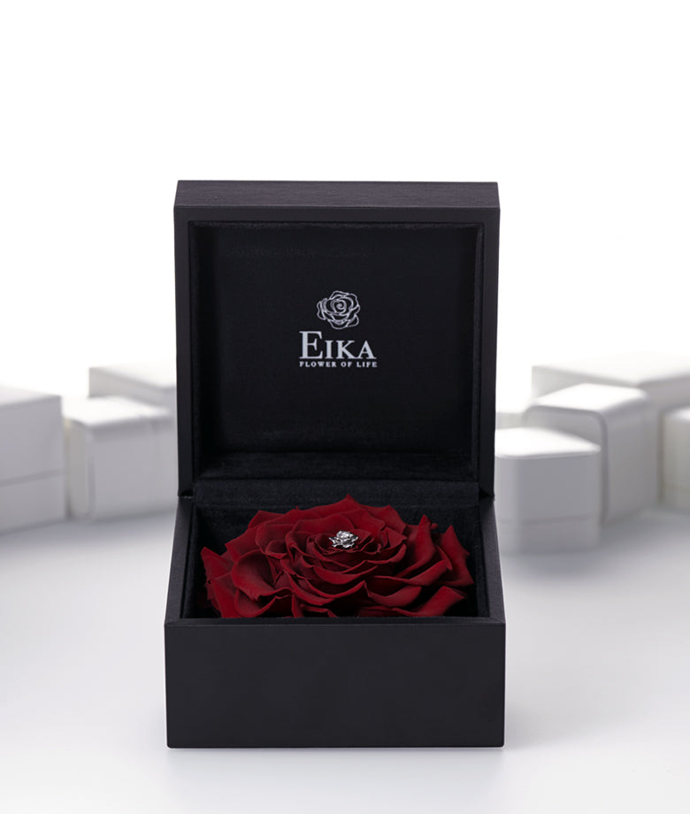 品良く着こなすため エンゲージメントコレクション・大輪ボックス エイカ - EIKA – アクセサリー