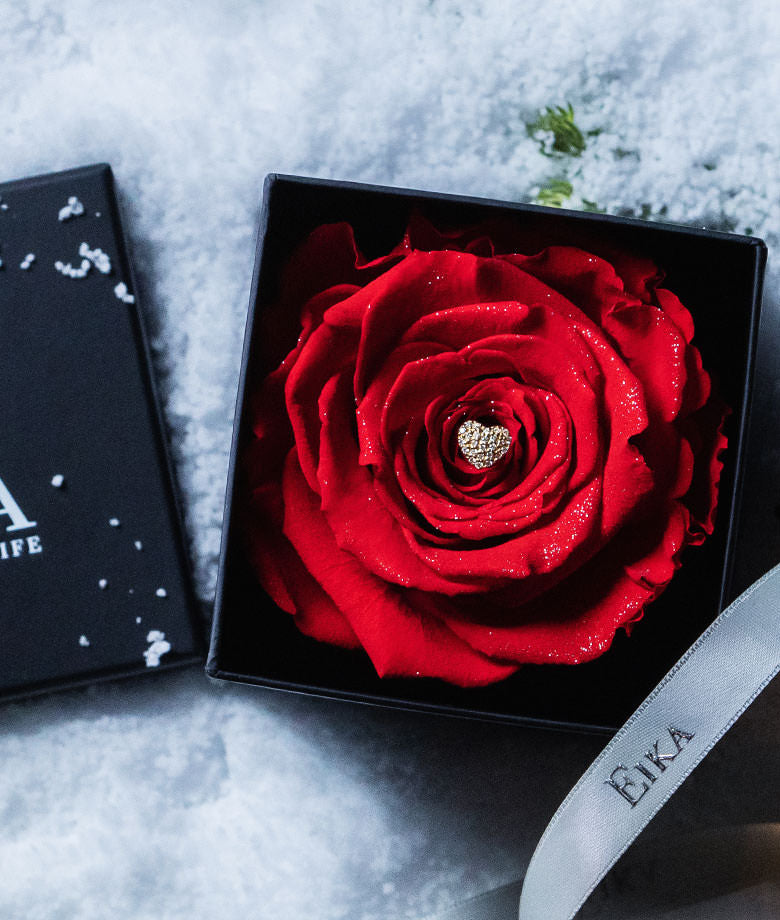 アクエリアンエイジ アクエリアンエイジ VF クイーンオブローズ