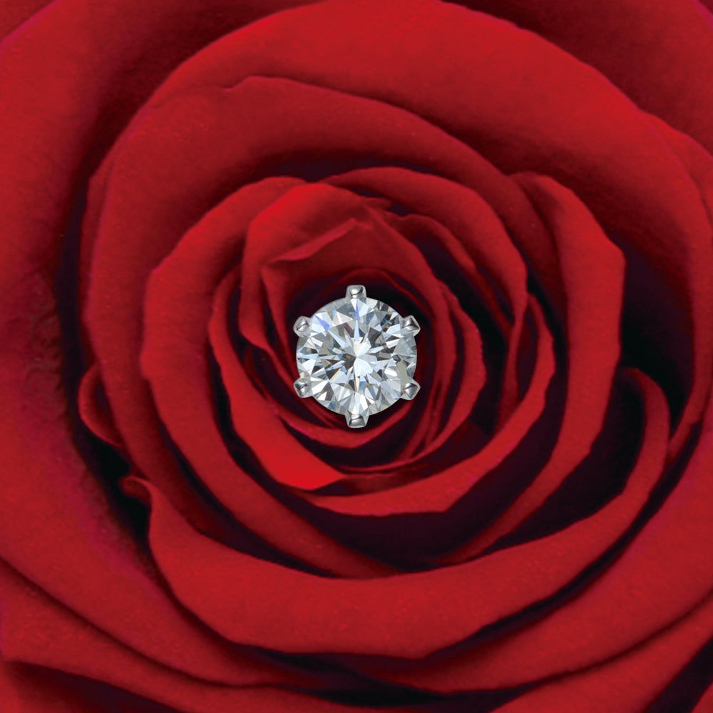 エンゲージメントコレクション・大輪ボックス – EIKA - エイカ