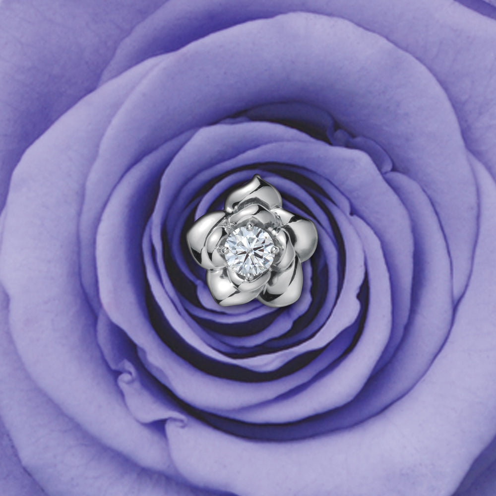 エンゲージ・ULTIMATEコレクション・大輪ボックス – EIKA - エイカ