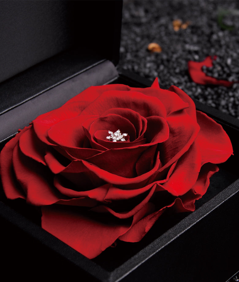 マスターコレクション・大輪ボックス | K18（18金・ゴールド） – EIKA