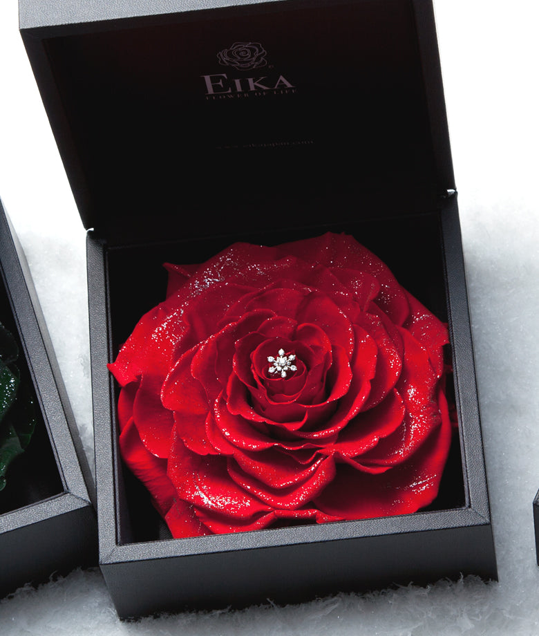 週末お値下げ！新品タグ付き ホルターネック薔薇のモチーフ個性的で上品エレガント 衿付ピンタック花柄ワンピース - ベルーナ【公式】